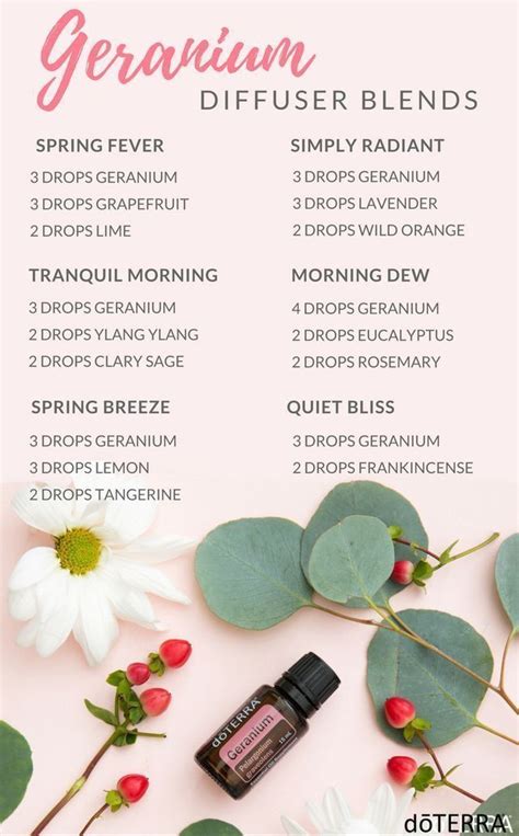 geranium essential oil blend recipes - geranium essential oil for face.